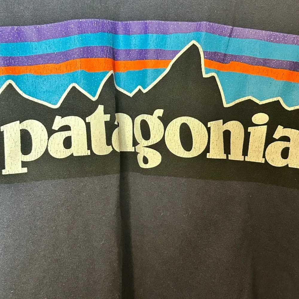 Patagonia Men's Long-Sleeved P-6 Logo Responsibili-Tee. - Picture 6 of 12